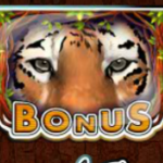 Bonusový symbol online herní automatu Taiga 