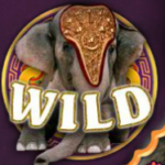 Wild symbol z herní automat The Love Guru online 