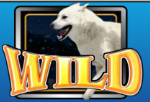 Symbol wild ze hry Wild Huskies online zdarma 