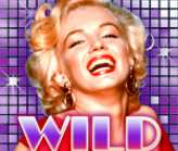 Wild symbol ze hry Marilyn Monroe