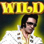 Wild symbol - Rock'n Slot 