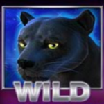 Wild symbol ze hry automatu Panther Moon online 