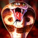 Obrázek ze hry automatu Wild Cobra online 