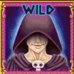 Wild symbol - výherní kasino automat Demi Gods 