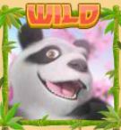 Symbol wild ze hry automatu Panda Party 