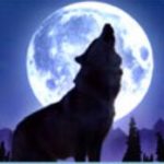 Wolf Moon online automat - wild symbol 