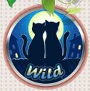 Wild symbol - Jour de l'Amour online automat zdarma 