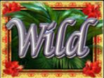 Wild symbol ze hry automatu White Falls 