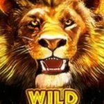 Wild symbol ze hry Hot Safari online 