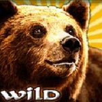 Wild symbol z online automat Bavarian Forest 