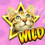 Symbol wild - hrací automat Meow Money zdarma 