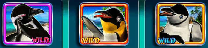 Symboly wild z hracího automatu Penguin Party 