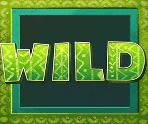 Symbol wild z herního online automatu Pinata Pop