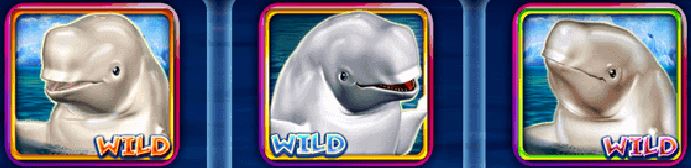 Wild symbol z online automatu Jolly Beluga Whales