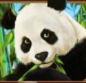 Symbol scatter z hracího automatu Lucky Panda 