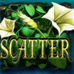 Scatter symbol - automat Secrets of the Amazon online 