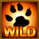 Wild symbol ze hry casino automatu Cats Royal 
