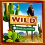 Wild symbol ze hry Route of Mexico online