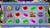 herní automat Cash Wizard online zdarma