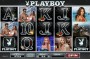 Herní automat Playboy online zdarma