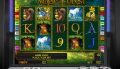 Hrací online casino automat Magic Forest