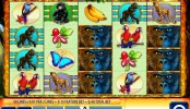 Herní online automat zdarma Gorilla Chief 2