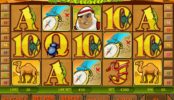 Herní casino hra Desert Treasure online