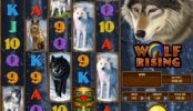 Herní casino automat Wolf Rising pro zábavu