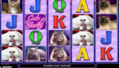 Casino herní automat 100 Cats