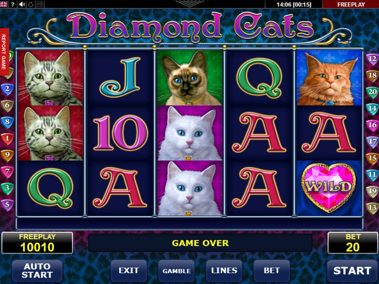 100 cats игровой автомат