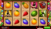 Obráze z automatové hry Ninja Fruits zdarma