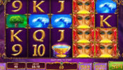 Herní casino automat Queen of Wands