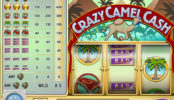 Herní kasino stroj Crazy Camel Cash
