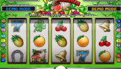 Online kasino automat Fruit Bonanza