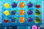 Herní automat online Aquarium