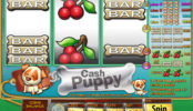 Automatová hra Cash Puppy bez registrace