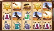 Online automatová casino hra bez stahování Cowboy Treasure