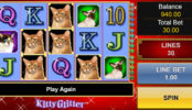 Kitty Glitter online automat zdarma