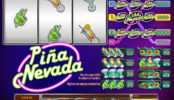 Obrázek ze hry online automatu Pina Nevada