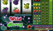 Automat zdarma bez registrace Wild Berry 3 reel