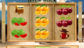 Online automatová casino hra bez stahování Wild Jack